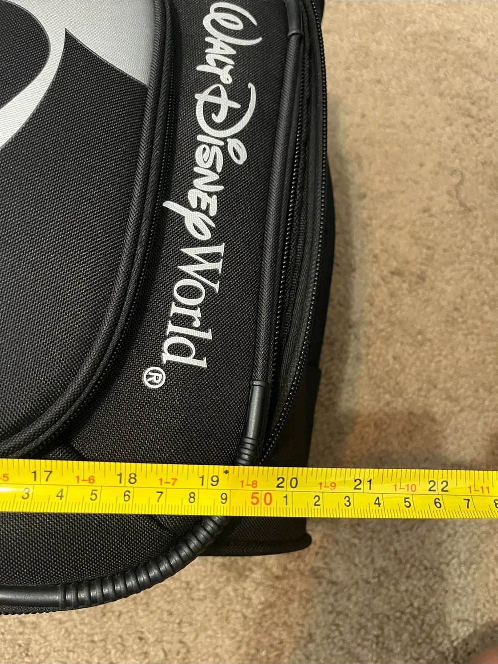Walt Disney trademark luggage with 